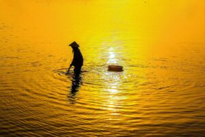 iDeCoの掛金はいくらが最適ですか？