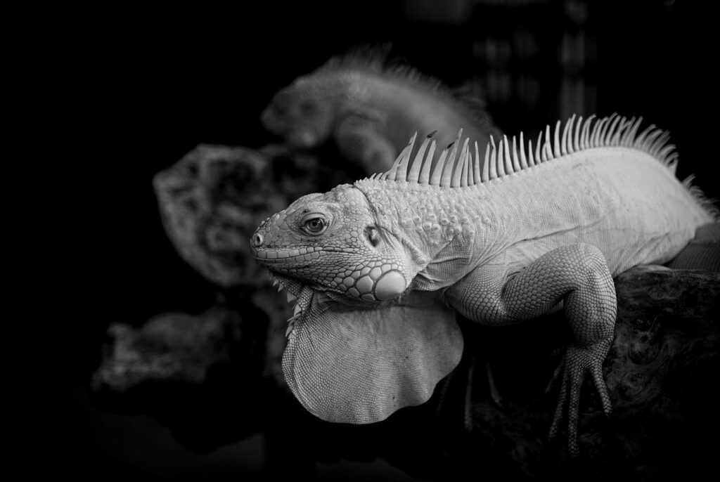 THEOロボアドの始め方を初心者が知るべきポイントは？