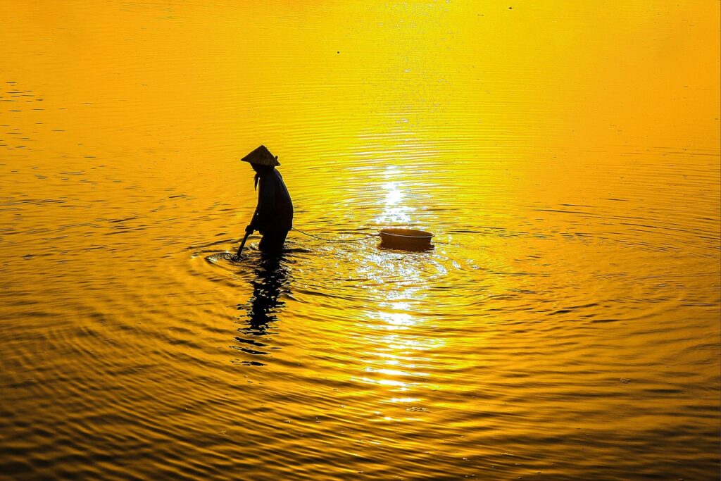 ウェルスナビの始め方は初心者でも簡単にできるのか？