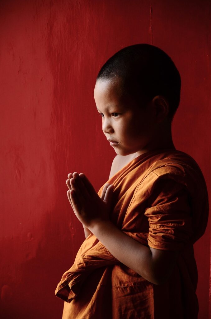 ロボアド初心者が知っておくべき比較ポイントは？