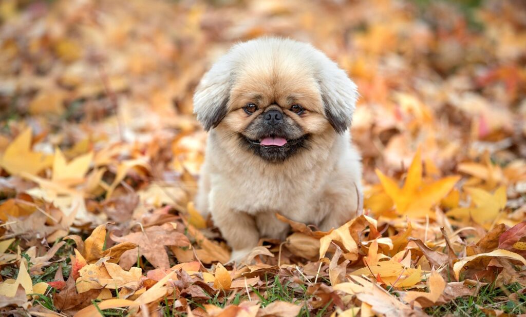 つみたてNISAは何年続けるべきか？