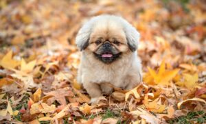 つみたてNISAは何年続けるべきか？