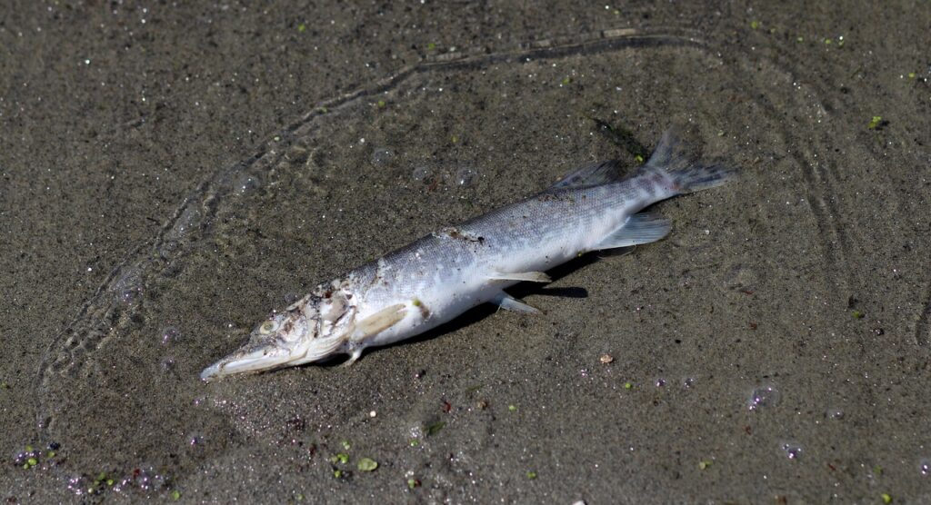 NISA口座の手続きを5分で完了させる方法は？