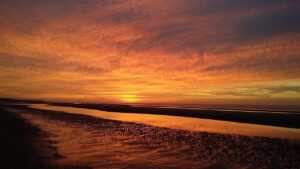 口座開設で得られる特典は何ですか？