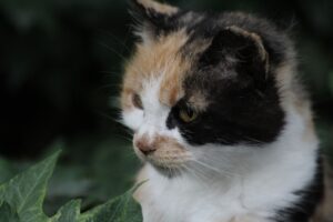 注意点をまとめた記事で知っておくべき重要な情報は？