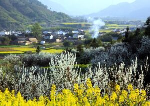 時短で口座開設する方法は？