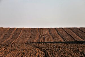 証券口座開設で得られる還元はどのくらい？