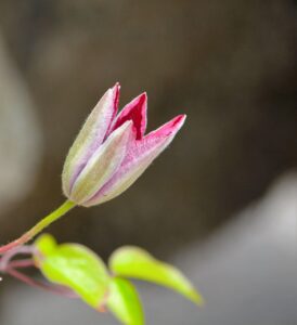 投資初心者が失敗しないためのポイントは？