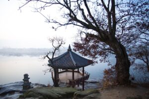 新NISAにおすすめの証券会社はどこ？
